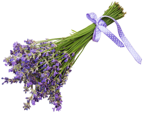 Ein Strauß Lavendel